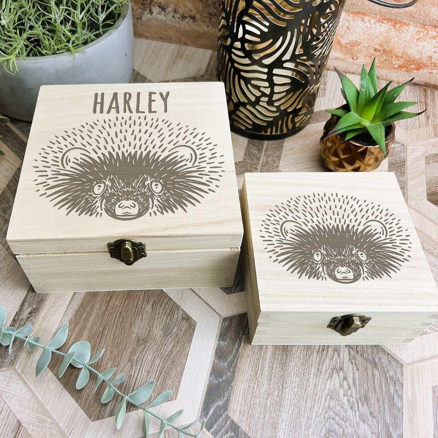 Hedgehog Illustration Engraved Wooden Trinket Jewellery Box Christmas Gift Birthday Present Woodland Animal Secret Santa