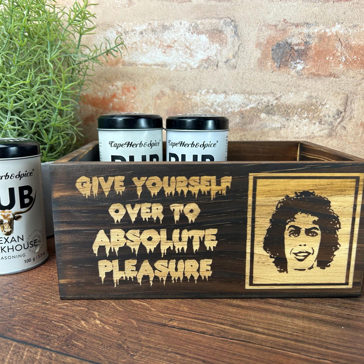 Rocky Horror Picture Show Absolute Pleasure Kitchen Tidy / Caddy - Funny Cooking Gift - Present Kitchen Decor Housewarming - Unique Birthday