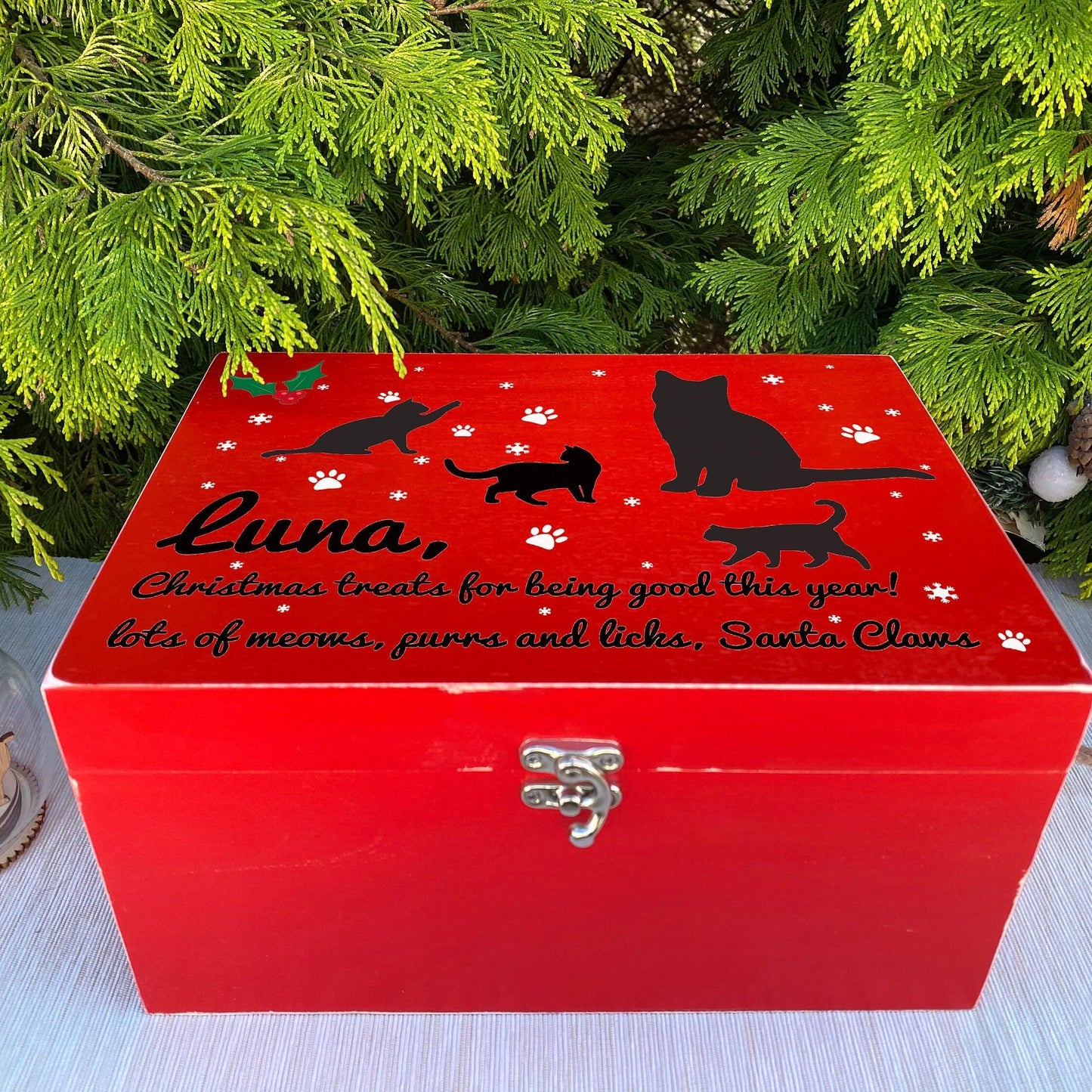 Santa Claws - Cat Christmas Treat Box - Personalised Pet Gift