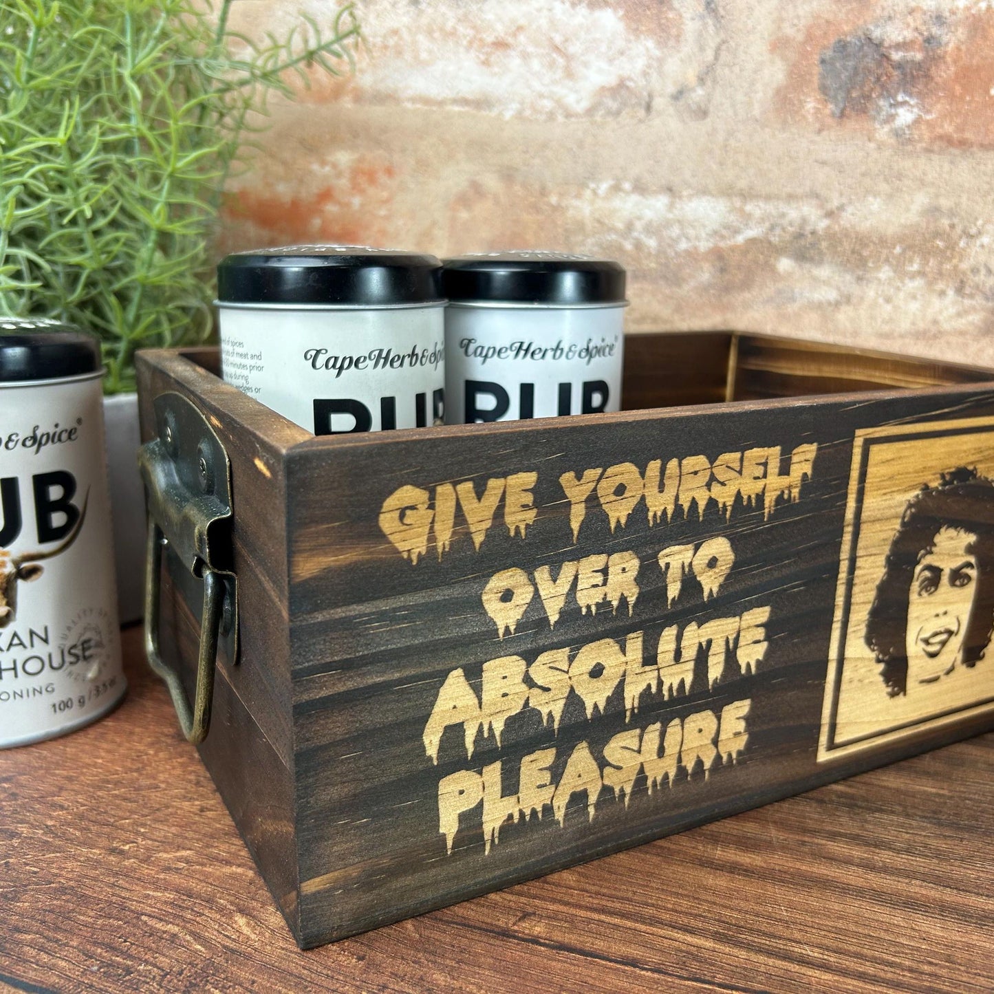 Rocky Horror Picture Show Absolute Pleasure Kitchen Tidy / Caddy - Funny Cooking Gift - Present Kitchen Decor Housewarming - Unique Birthday